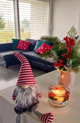 Bitov Villa | Pasivní dům uprostřed louky