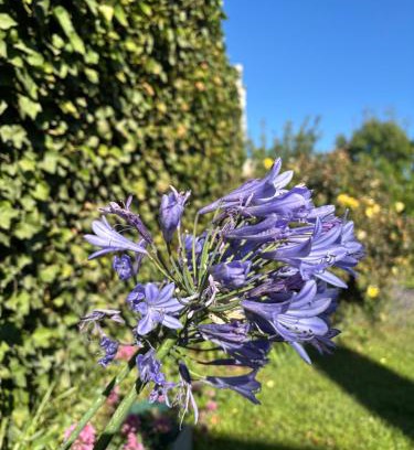 Playa Union House | PataGo! Sea&Sand