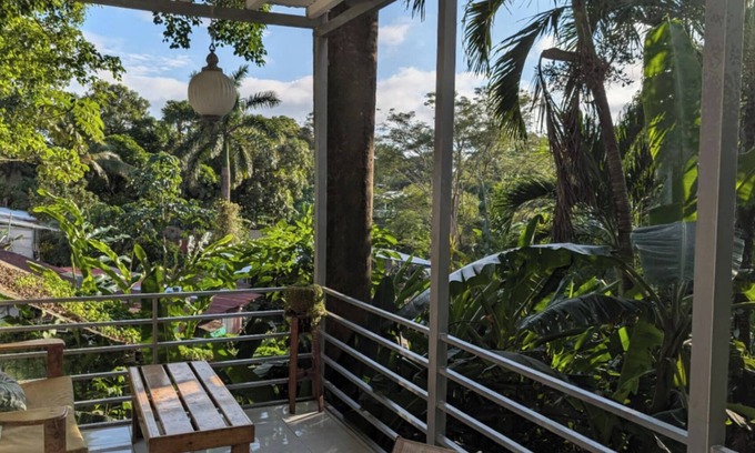 Manuel Antonio Bed & Breakfast | Peace of Paradise