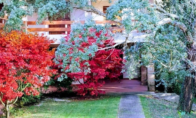 Fragoso House | Peaceful Home and 10000 m²Private Park, near Barcelos and Viana do Castelo