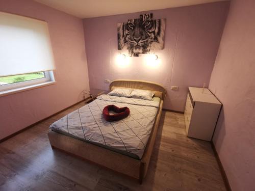 Mehikoorma Apartment | Peipsi Mehikoorma korter