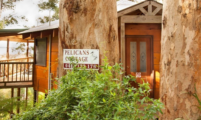 Denmark Cottage | Pelicans at Denmark Cottage