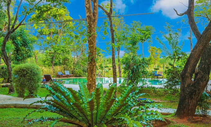 Dambulla Hotel | Pelwehera Village Resort