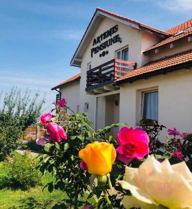 Cristian House | Pensiunea Artemis