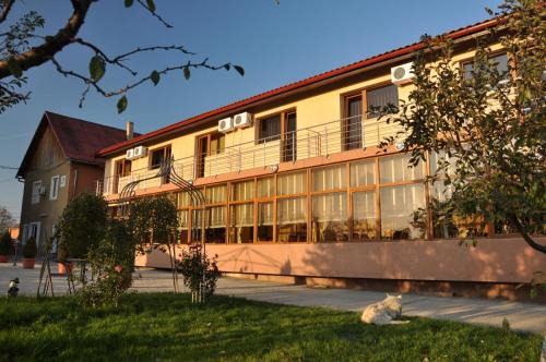 Timisoara House | Pension Andronic