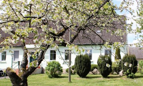 Templin House | Pension Gestüt Lindenhof
