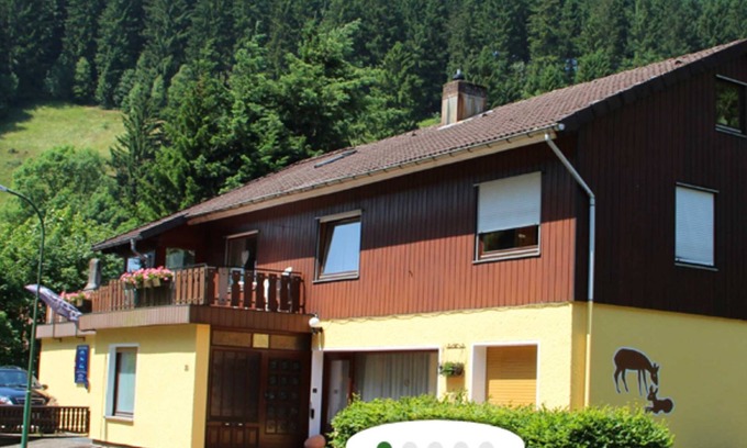 Wildemann Apartment | Pension Haus Brückner - Holiday apartment