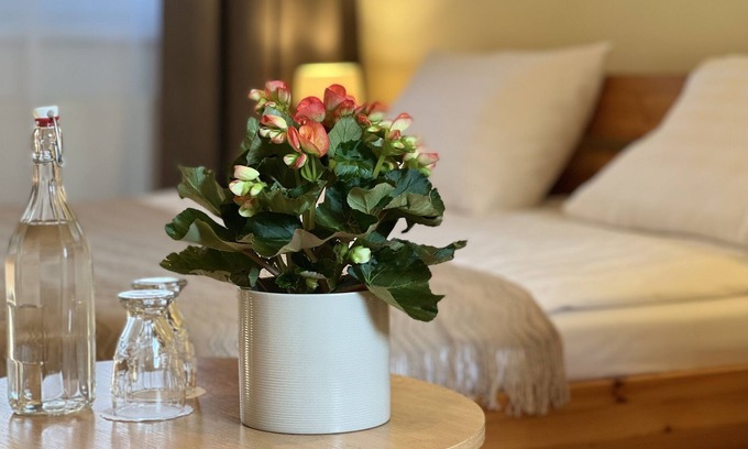 Cesnovice House | Pension Marislav