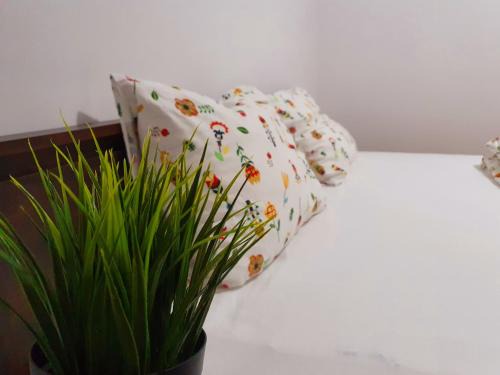 Sulina House | Pensiunea Casa Blanca