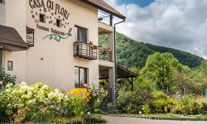 Cisnadie House | Pensiunea Casa cu Flori