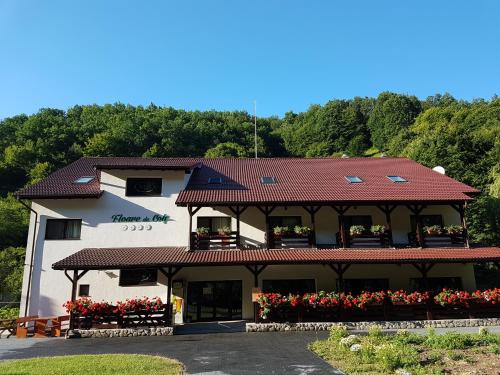 Galda de Jos House | Pensiunea Floare De Colt