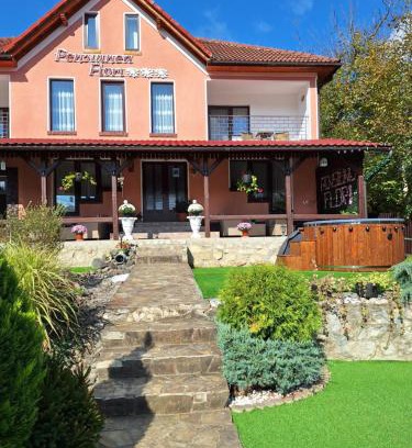 Vata de Jos House | Pensiunea Flori