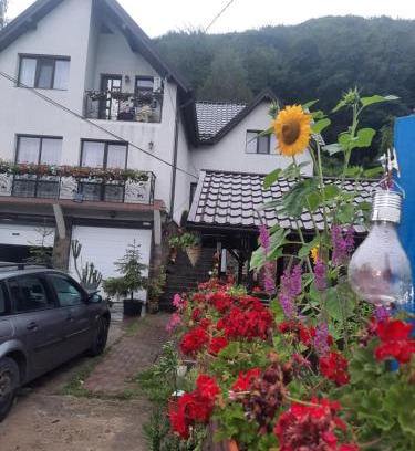 Tirgu Ocna House | Pensiunea Magura Ocnei