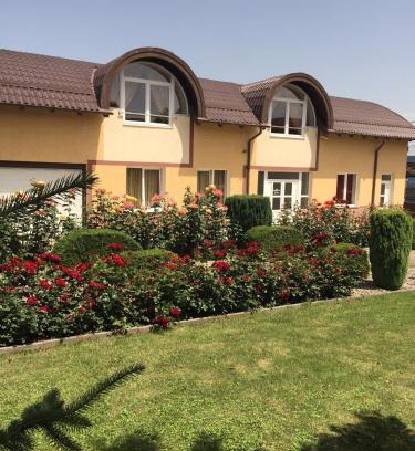 Cluj-Napoca House | Pensiunea Zbor 1