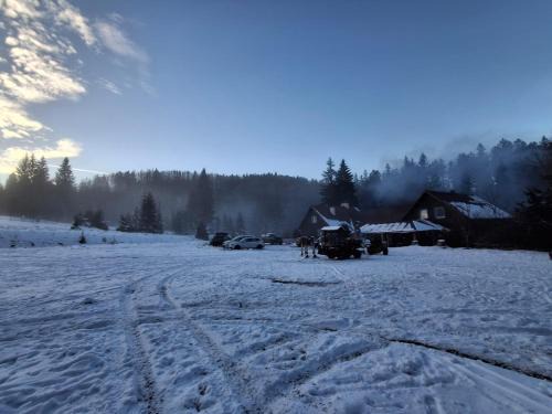 Zieleniec House | Pensjonat Leśniczówka Zieleniec