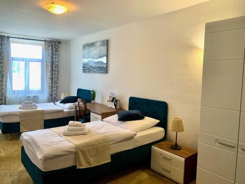 Trencin House | Penzión Deloris