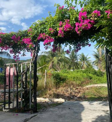 Nha Trang House | Pepper In Nha Trang Homestay