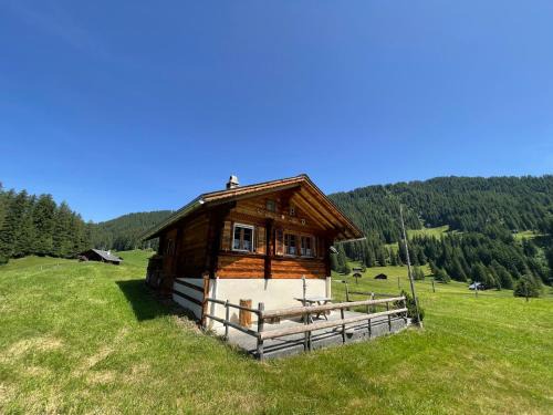 Hasliberg Apartment | Peter's Hütte in Hasliberg Bidmi