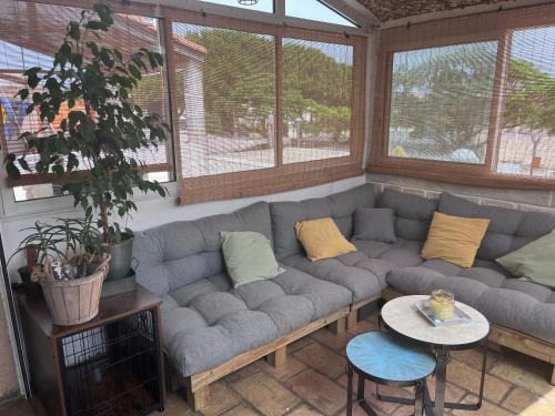 Portiragnes-Plage Apartment | Petit cocon
