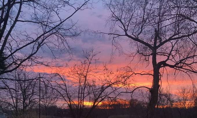 North East Cottage | Pets Welcome!! No Fees or Security Deposit