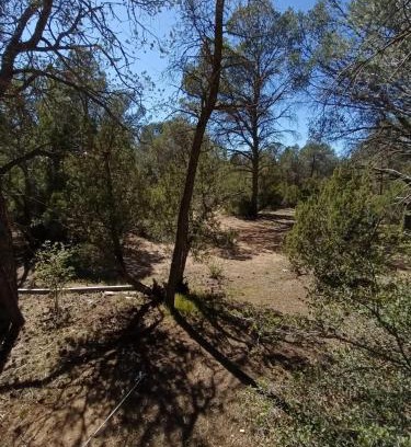 Tecate Municipality Other | Piñoneras del cóndor