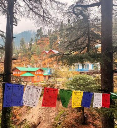 Jibhi House | Pine Nest Deluxe Rooms