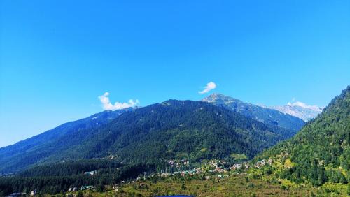 Vashist House | Pine Star Cafe