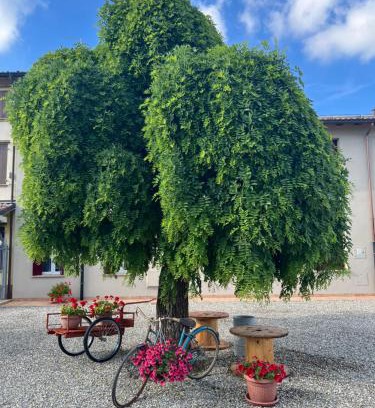 Torrile House | Pitaciò Affittacamere
