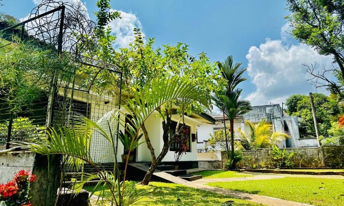 Primrose House | PLACE 236