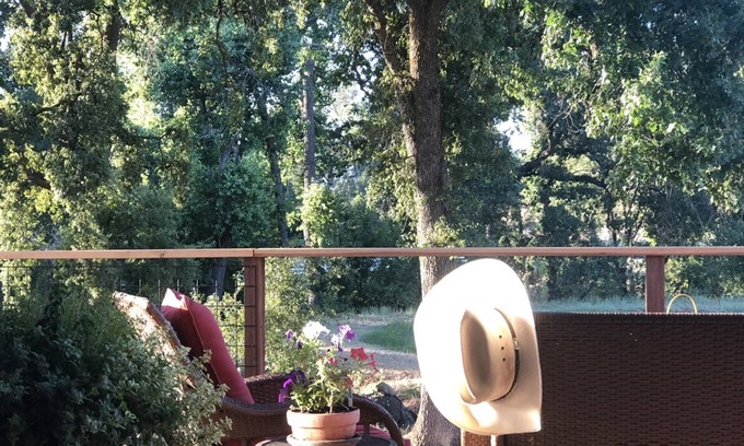 Cedar Ridge Villa | Placer Wine Trail- Country Vineyard Retreat