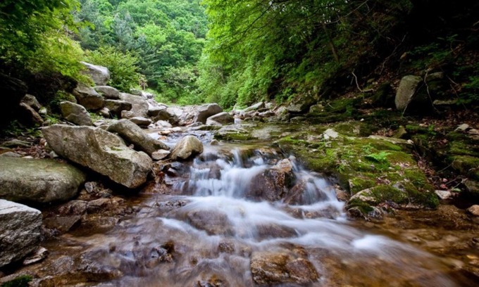 Pocheon House | Pocheon Joey Tomato Pension