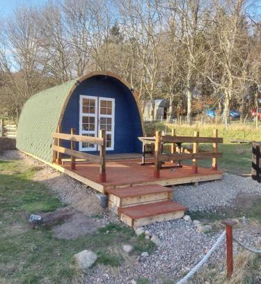 Kinbrace Other | Pod 4