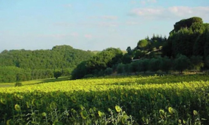 Ramazzano House | Podere Caldaruccio La Pineta -18 people Cottage & Villa