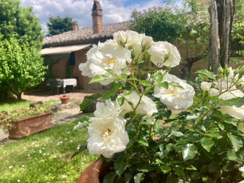 Montepulciano Apartment | Podere Il Conventino, Casette in campagna con piscina