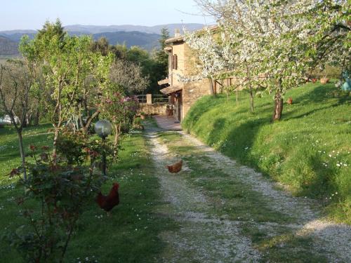 Orvieto House | Podere La Vigna Locazione Turistica
