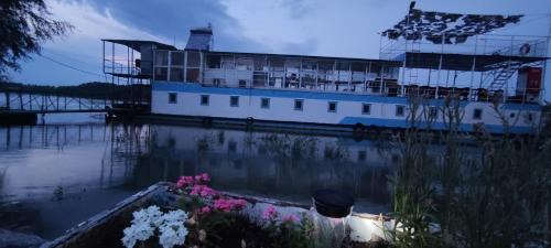 Mahmudia Boat Rental | Pontonul lui Cristian