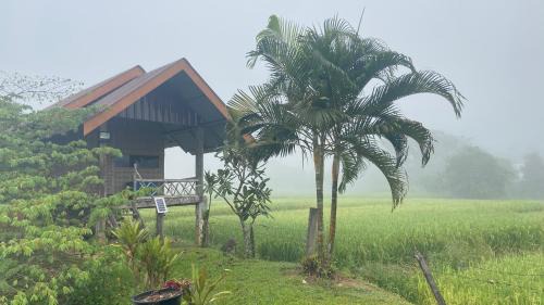 Pai House | Poopha home stay