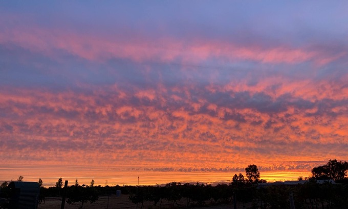 Belhus Other | Poplars Farmstay - Swan Valley