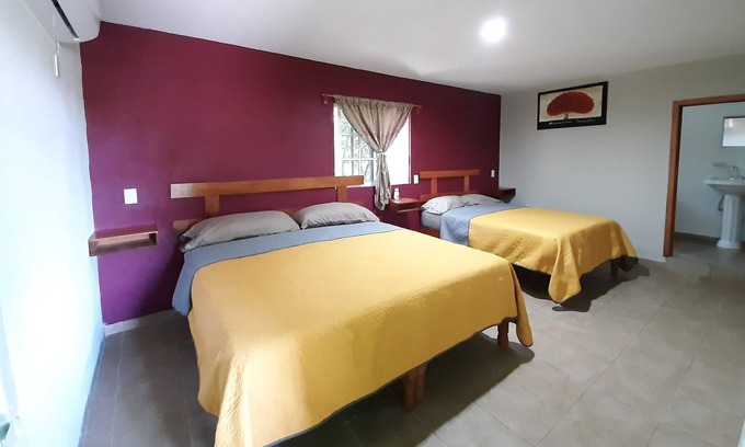 Xilitla House | Posada Ónix Xilitla