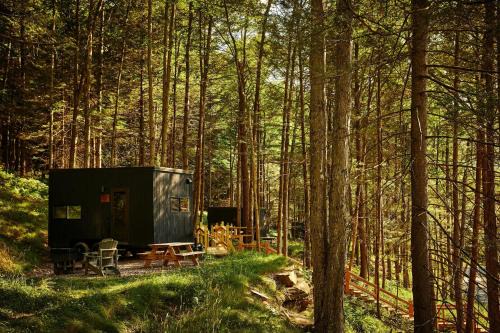 Town of Colchester Other | Postcard Cabins Western Catskills