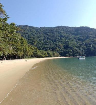 Ilha Grande House | Pousada carrossel