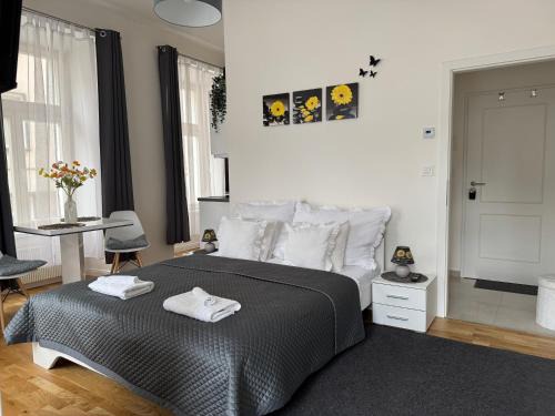 Petrska ctvrt Apartment | Praha 1 Florenc Hlavní mesto Romantic Apartments