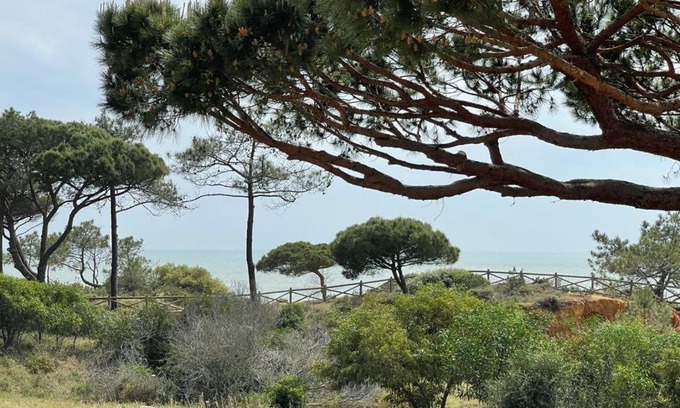 Alfa-Mar House | Praia da Falésia Alfa Mar Albufeira