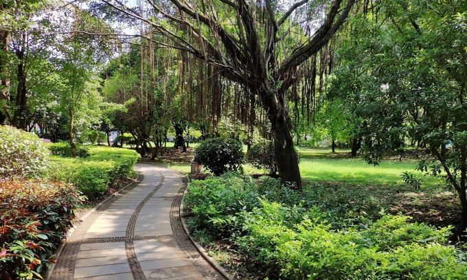 Qixing House | Prdeiction Hotel