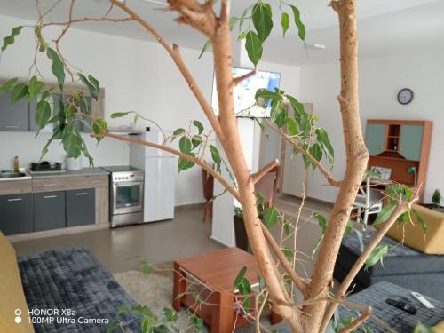 Vranje Apartment | Predah