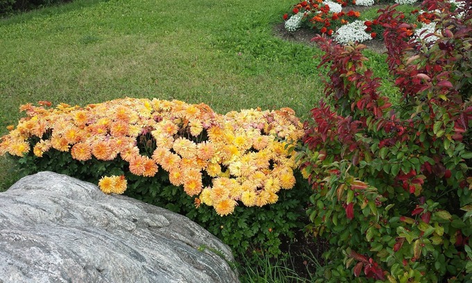 Chapleau House | Preferred Rooms by Crestview Guest House