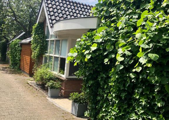 Sassenheim House | Prins Heerlijk