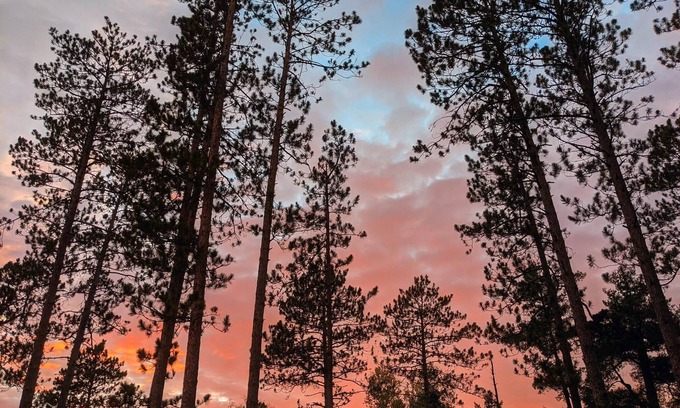 Grand Rapids Cabin | Private cabin in the woods near a serene creek and towering pine trees.