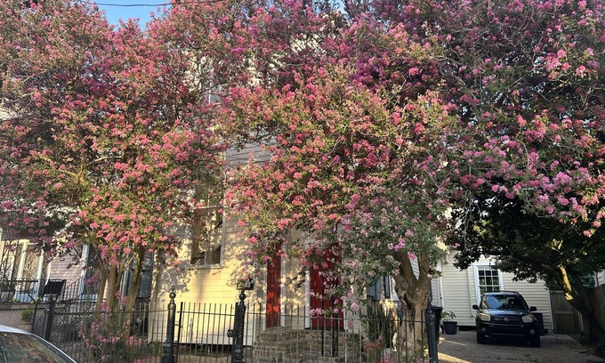 Lower Garden District House | Private Garden District Home