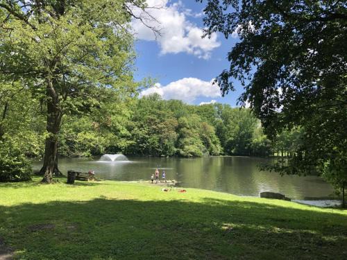 Jenkintown House | Private Studio in Park House